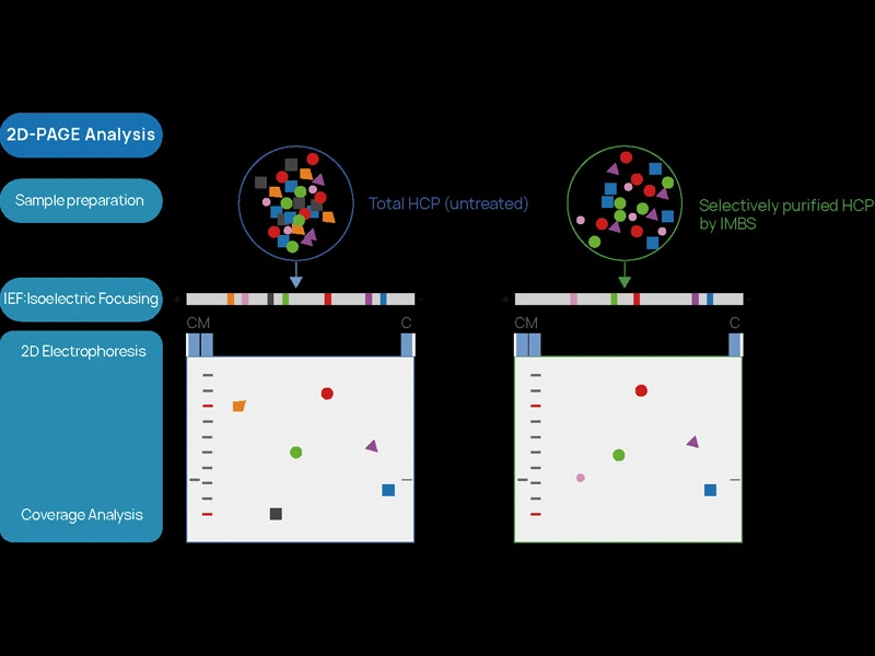 IMBS Platform