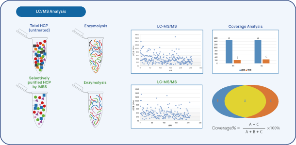 Figure 2 IMBS-2D and IMBS-LC/MS HCP-antibody Coverage Analysis