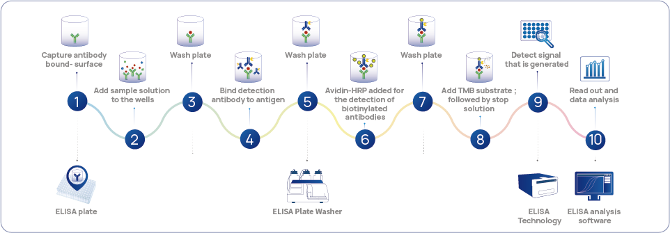 Figure 1 HCPs standard technology - ELISA detection workflow