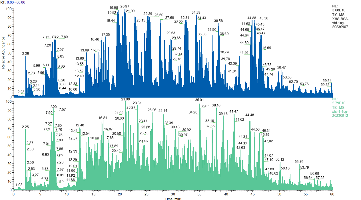 residual-host-cell-protein-identification-and-quantitation