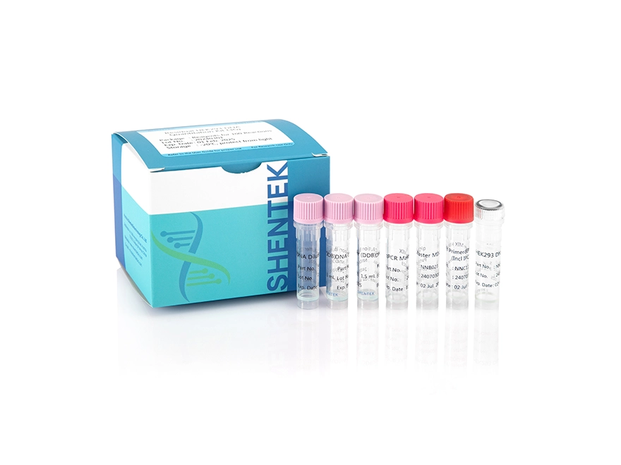 Residual HEK293 DNA Quantitation Kit (3G) - Huzhou Shenke Biotechnology ...