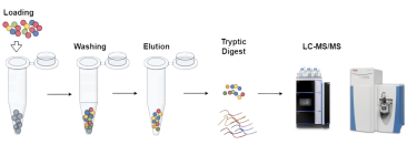 lcms platform