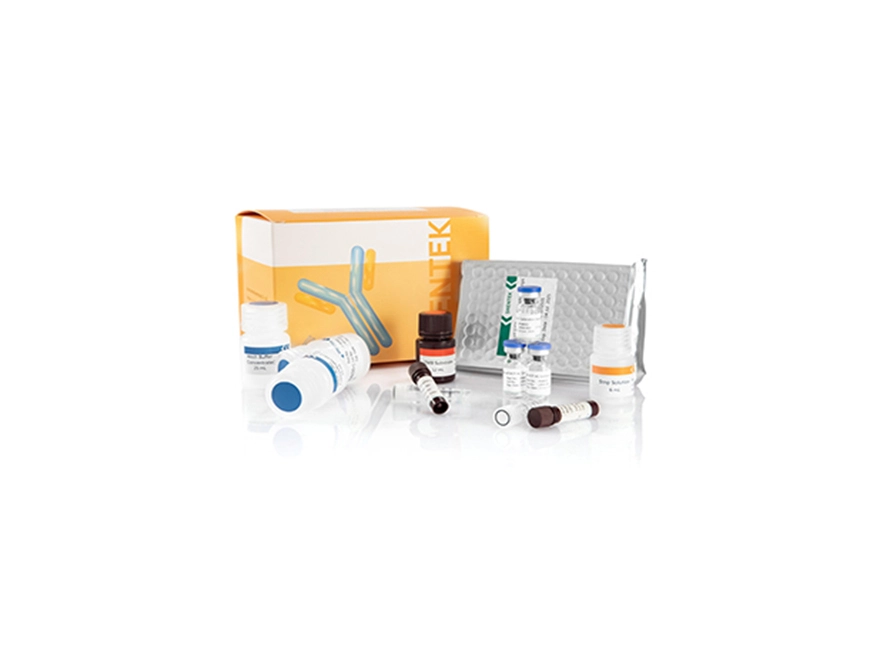 E.coli (Protein Expression Strains) HCP ELISA Kit