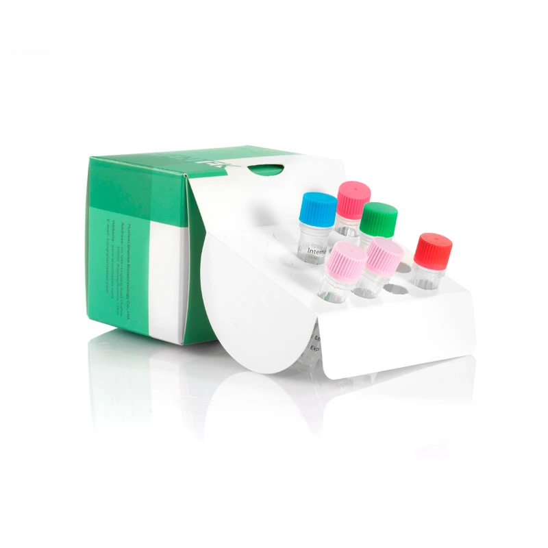 mycoplasma detection kit pcr