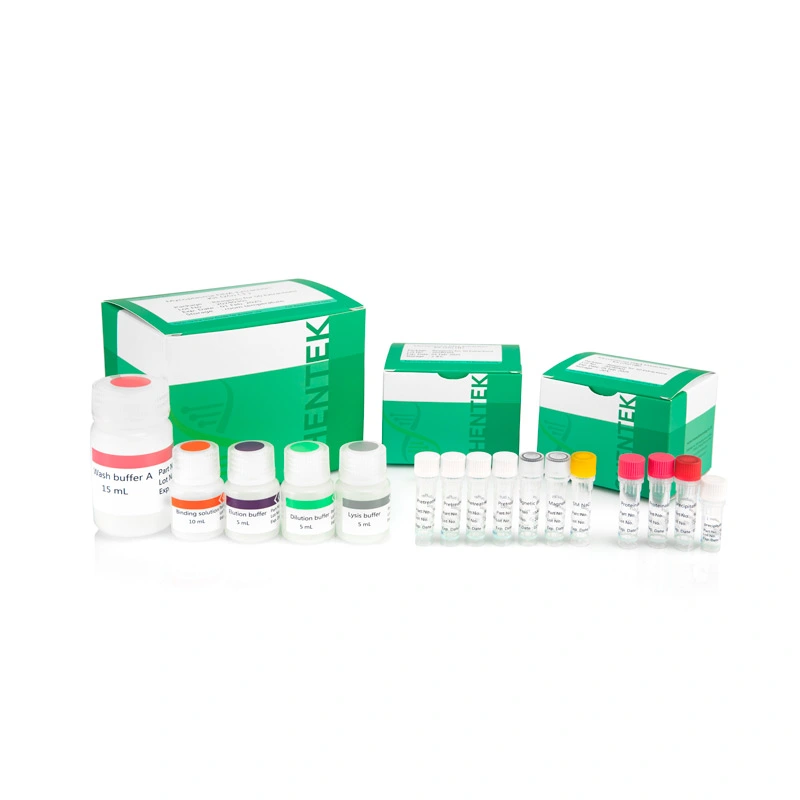 mycoplasma kit