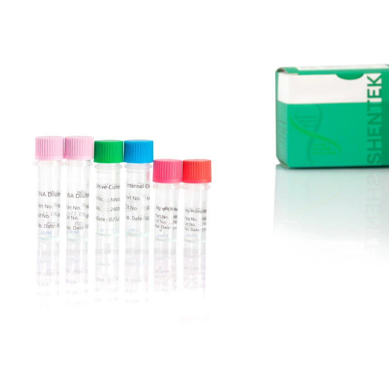 mycoplasma real time pcr kit