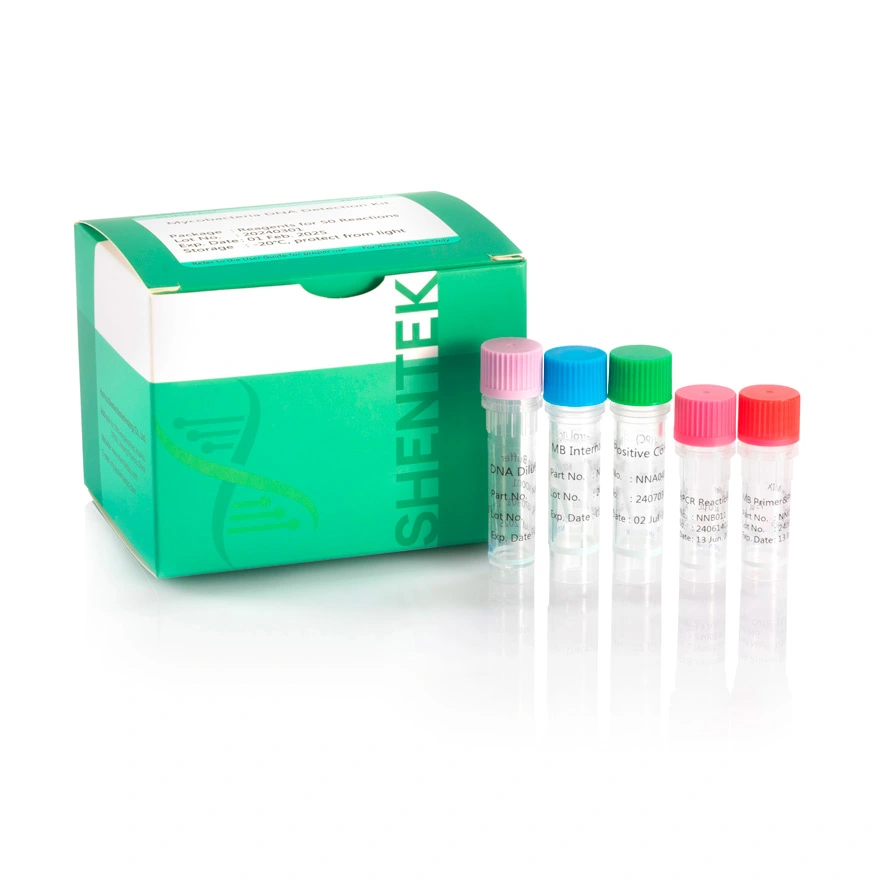 mycoplasma contamination kit