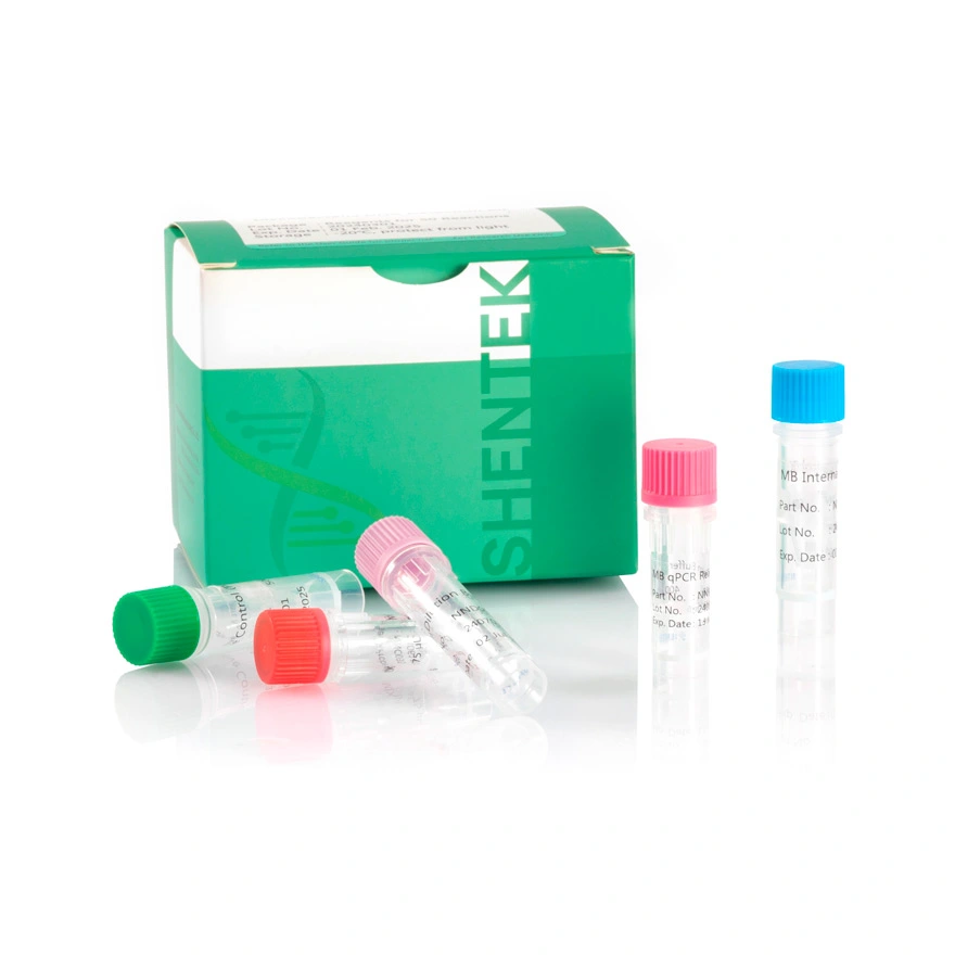 mycoplasma detection pcr