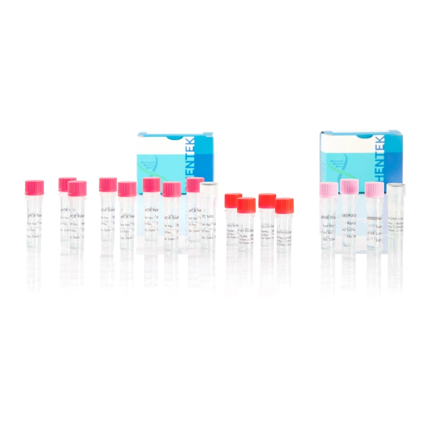 nucleic acid quantitation