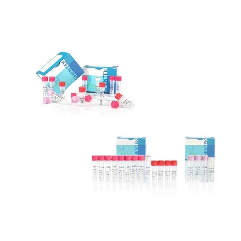 Residual Host Cell DNA Size Analysis