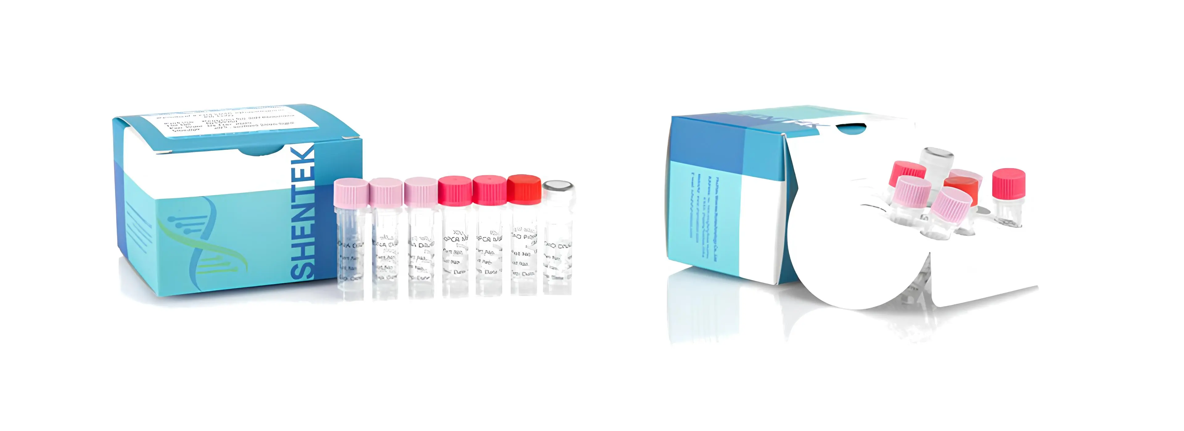 Cell Line Characterization