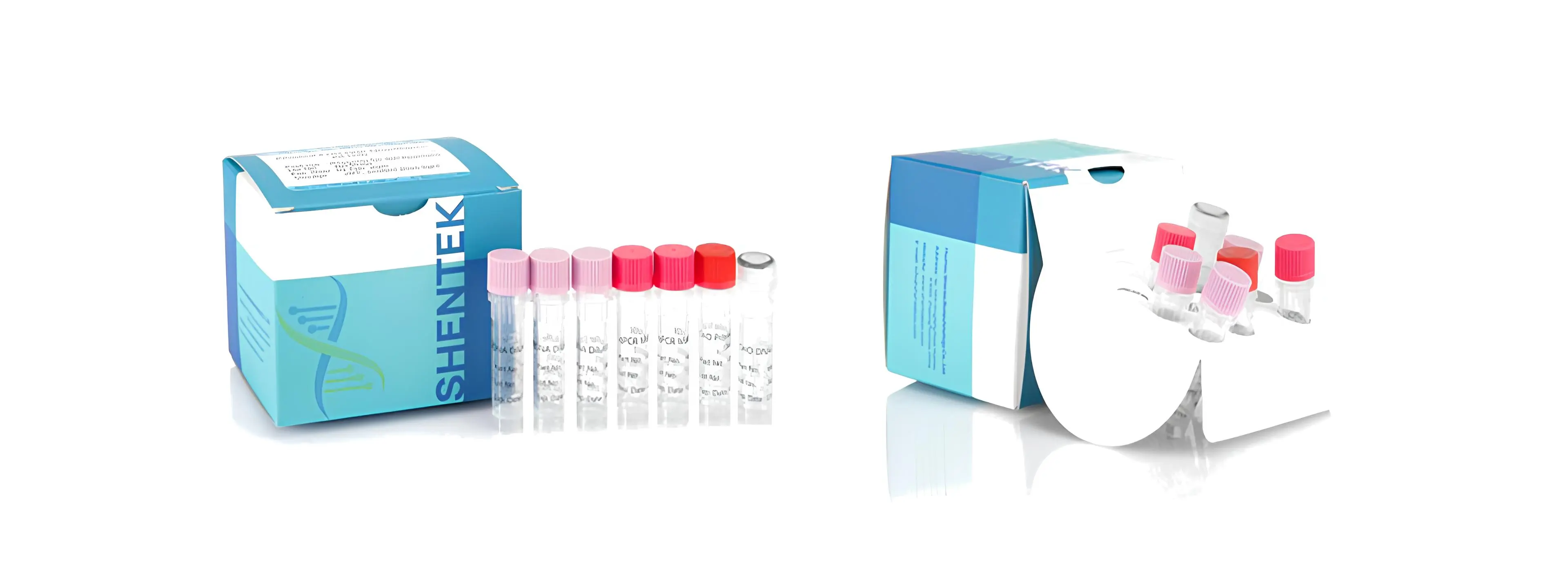 Residual Host Cell DNA Quantitation