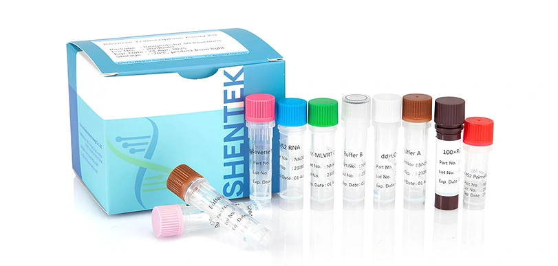 Cell Line Characterization