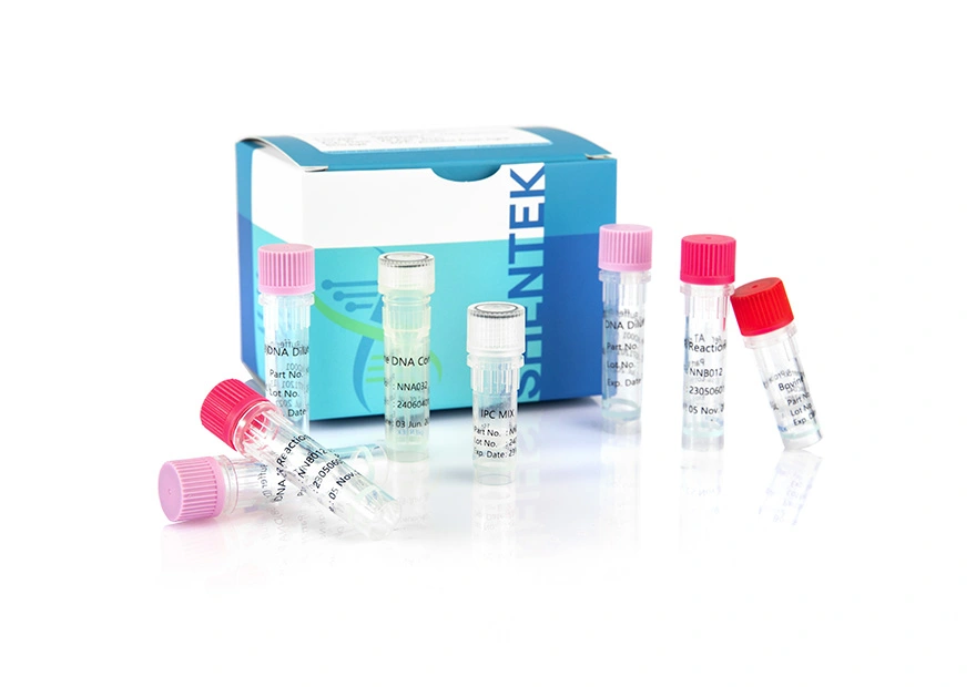 Residual Bovine DNA Quantitation Kit