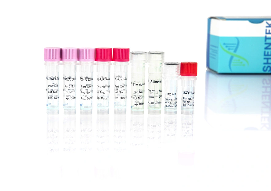 Residual E1A DNA Quantitation Kit