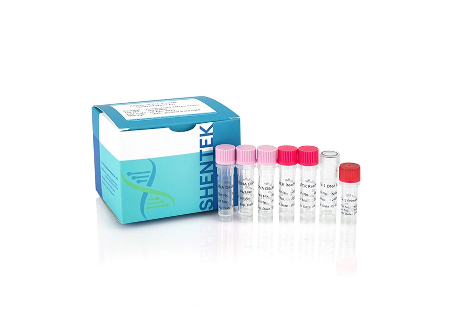 Residual CV-1 DNA Quantitation Kit