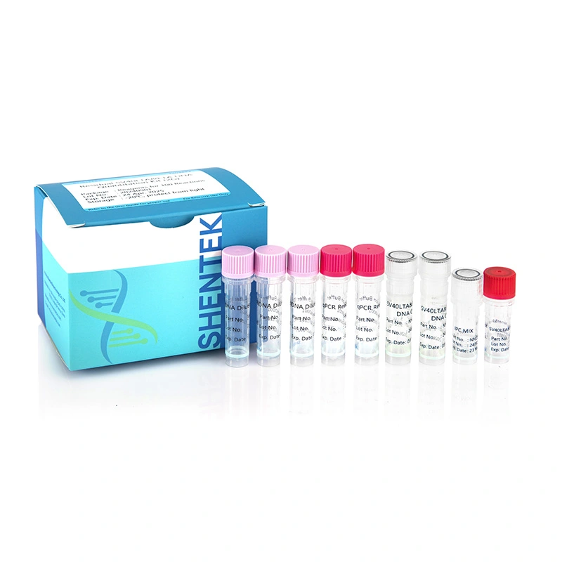 dna quantitation kit