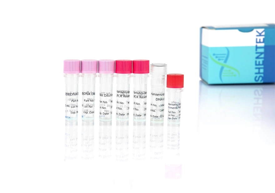 Residual Hansenula Polymorpha DNA Quantitation Kit