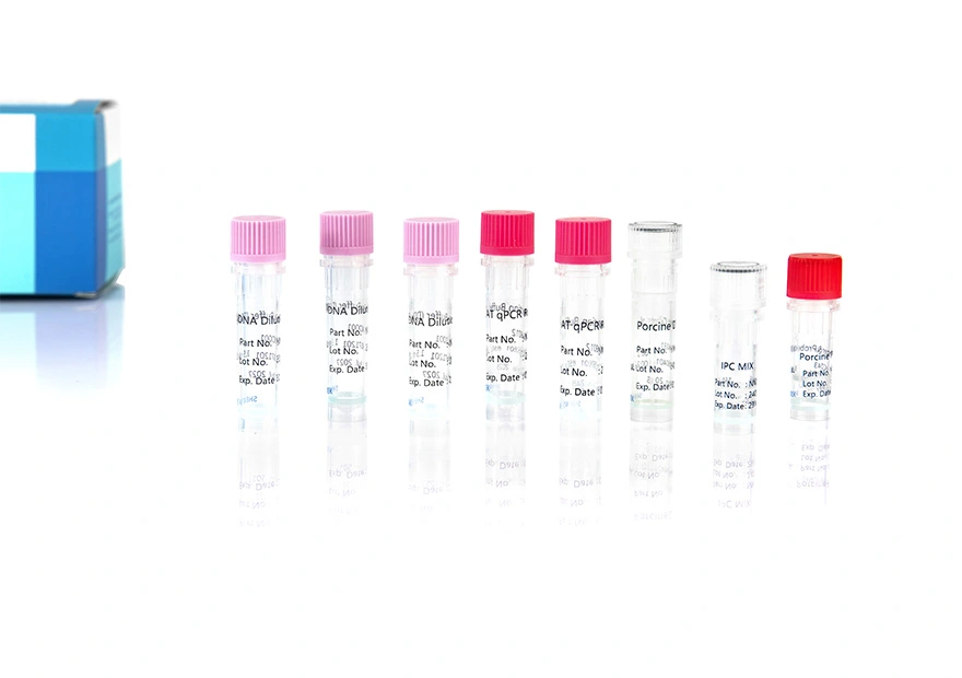 Residual Procine DNA Quantitation Kit