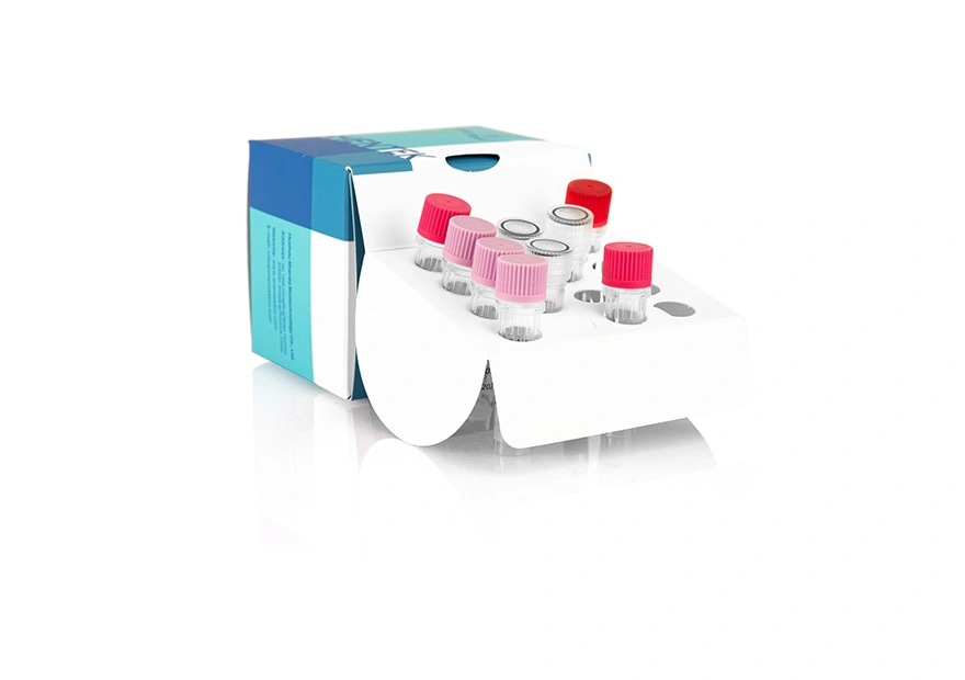 Residual SV40 LTA/E1A DNA Quantitation Kit (2G)