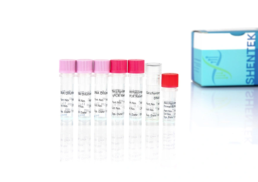 Residual Saccharomyces Cerevisiae DNA Quantitation Kit