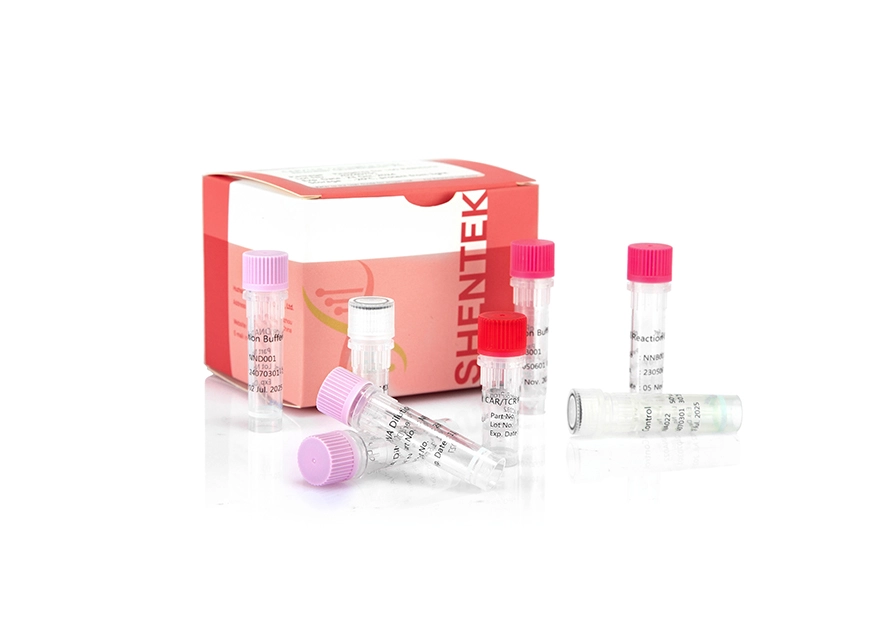 CAR/TCR Transgene Copy Number Quantitation Kit