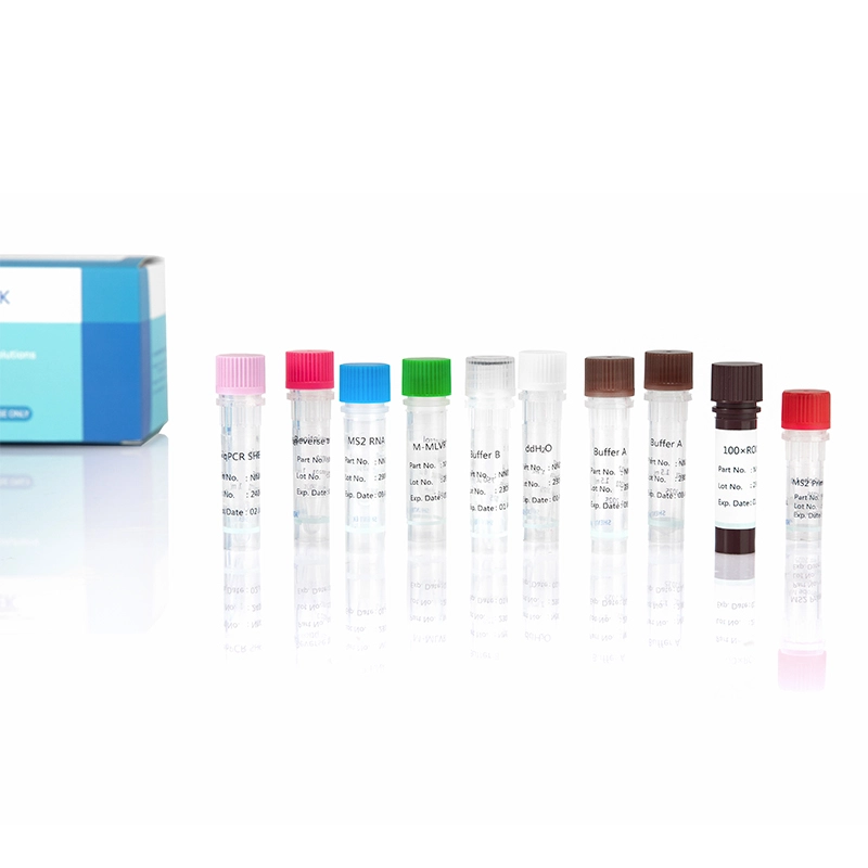 cell line characterization