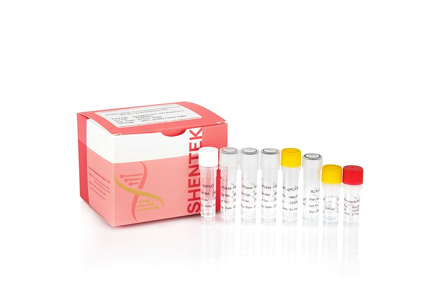 Replication-Competent Retrovirus (RCR) Quantitation Kit