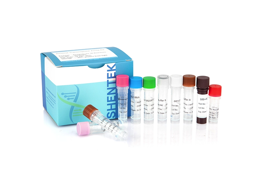 Reverse Transcriptase Assay kit