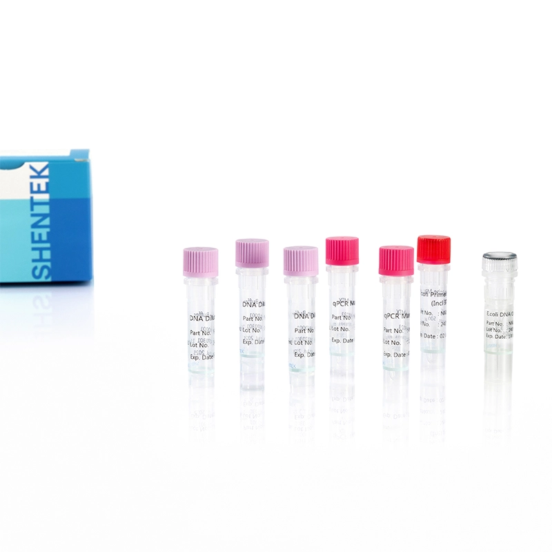 recombinant dna of e coli