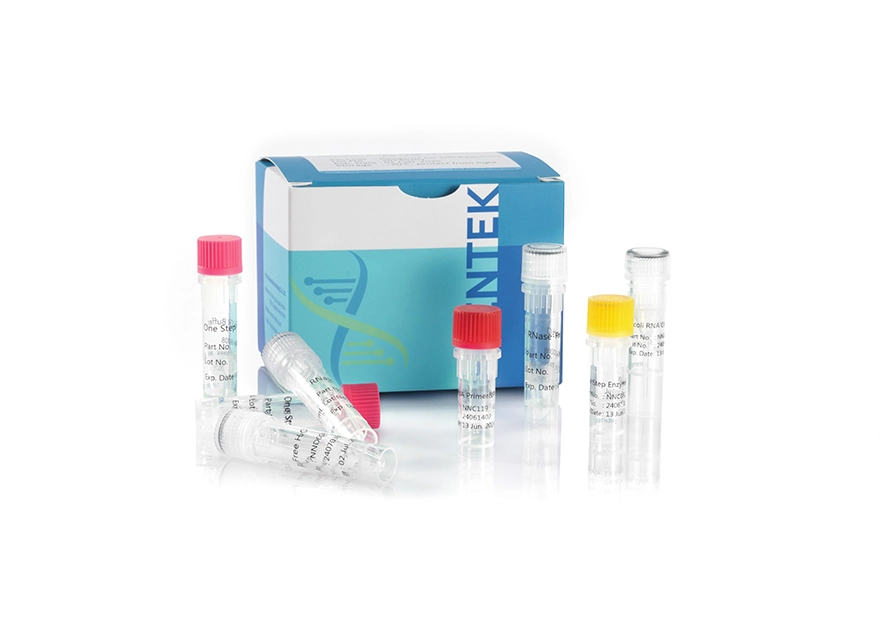 Residual E.coli RNA Quantitation Kit (2G)