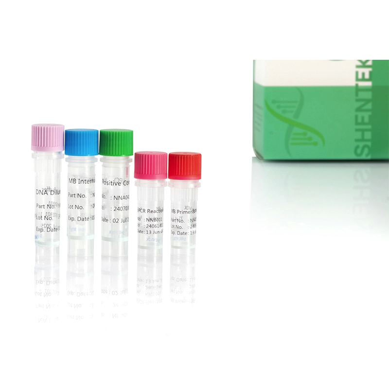 mycobacterium tuberculosis complex pcr