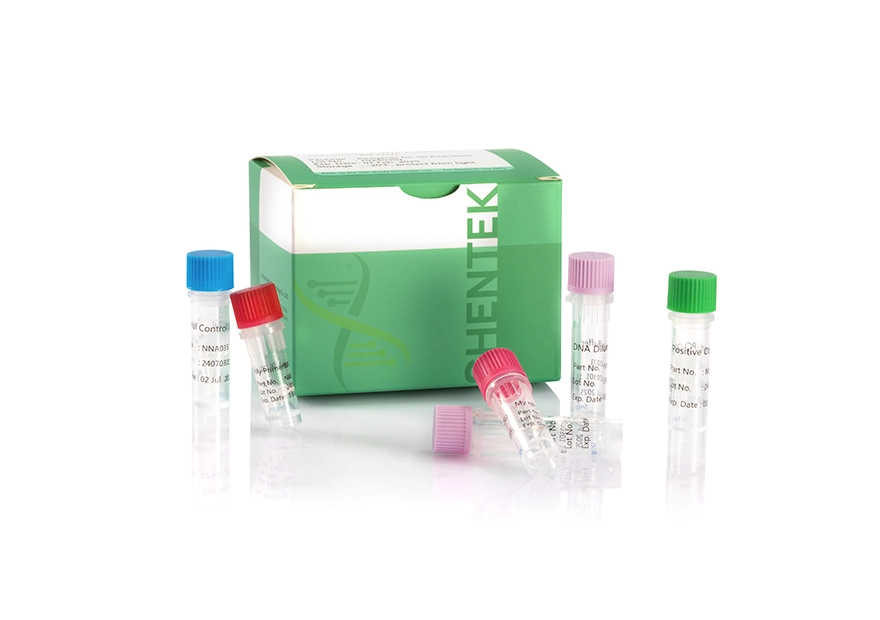 Mycoplasma DNA Detection Kit (2G)