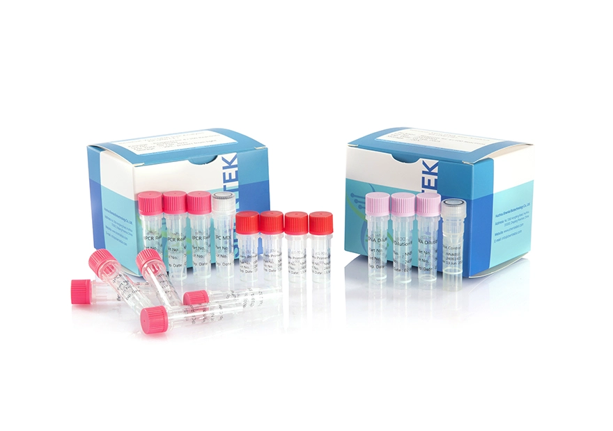 Residual Vero DNA Size Analysis Kit (2G)