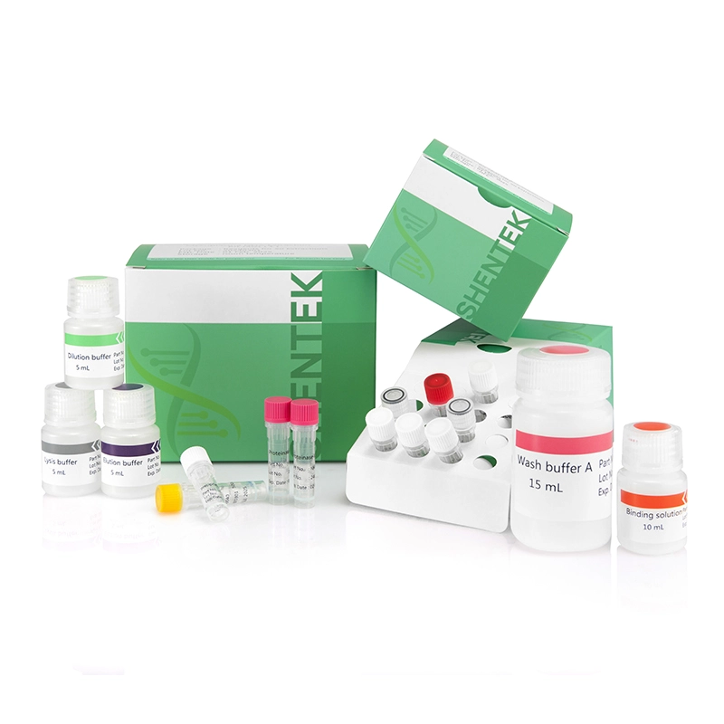 mycoplasma kit