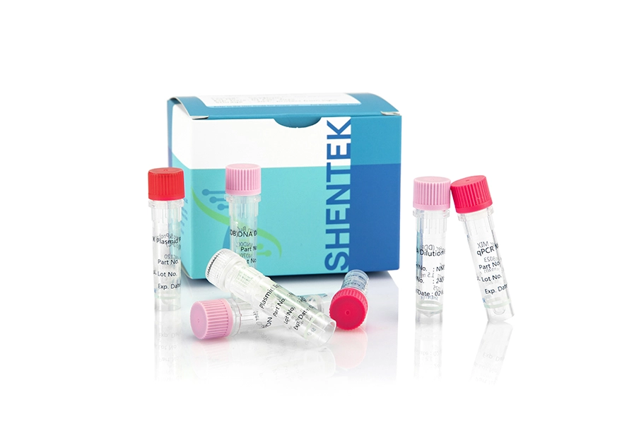 Residual Plasmid DNA Quantitation Kit (3G)