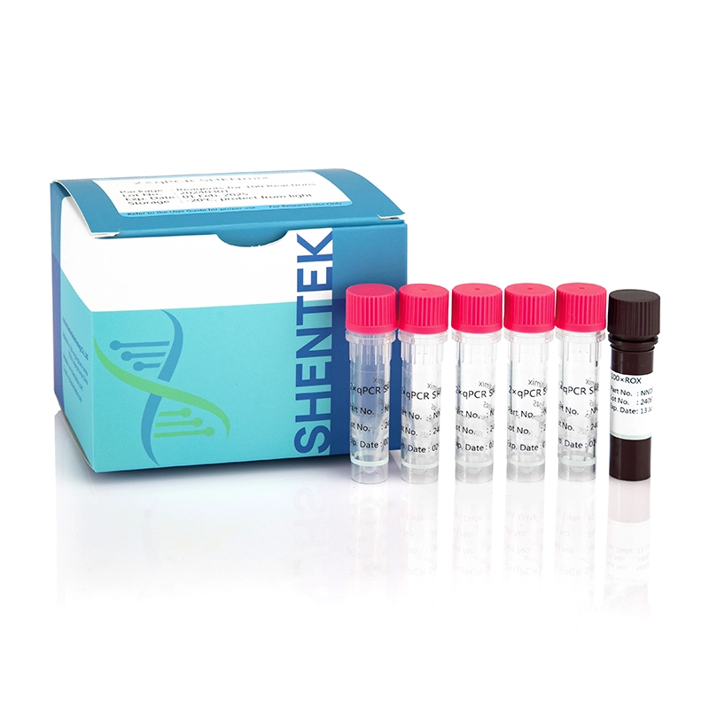 one step rt qpcr master mix