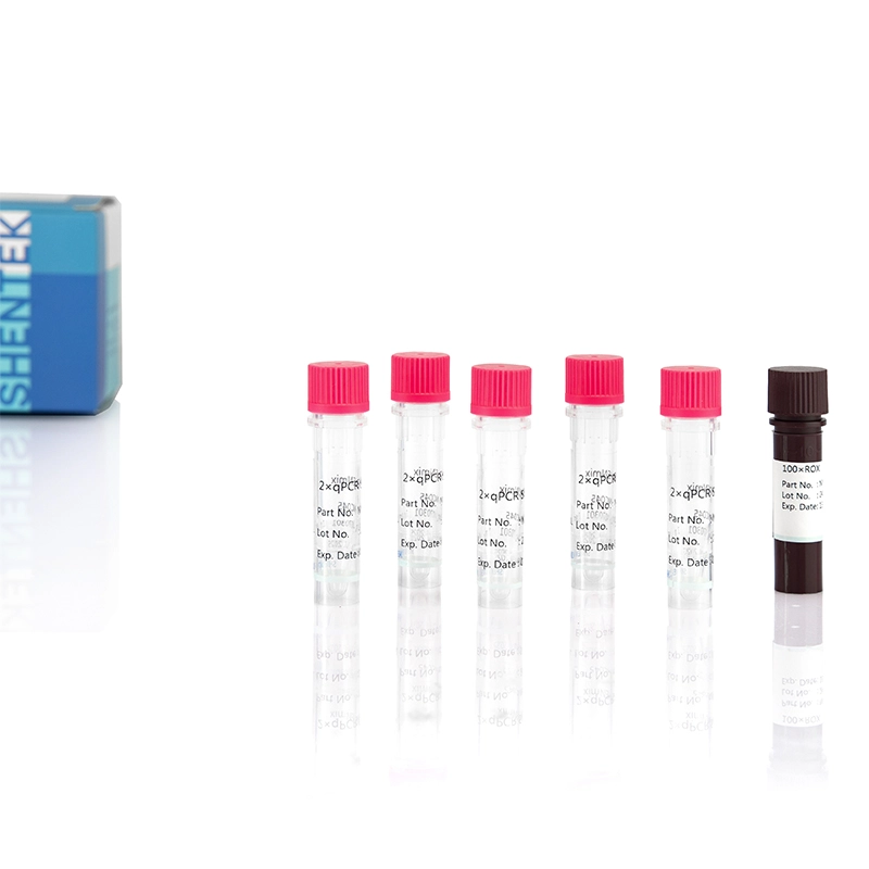 rt qpcr reagents