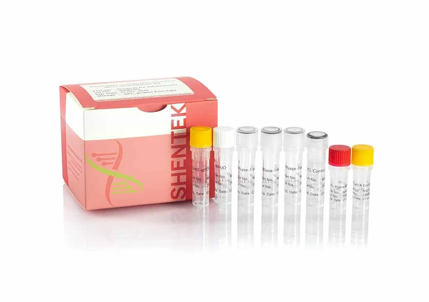 Replication-Competent Lentivirus (RCL) Quantitation Kit