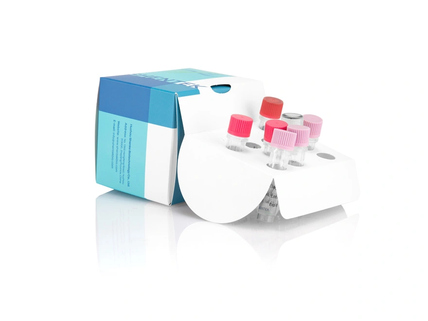 Residual CHO DNA Quantitation Kit